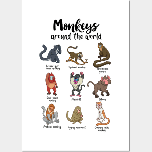 Monkeys of the world - Types of Monkeys Posters and Art